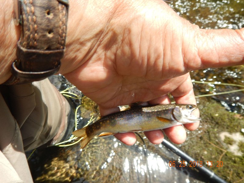 -Kettle Valley-118-.jpg